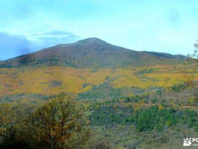 Ruta de los Castaños, Rozas de Puerto Real;viajes marzo excursiones en madrid y alrededores excursi